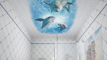 Дельфины потолок